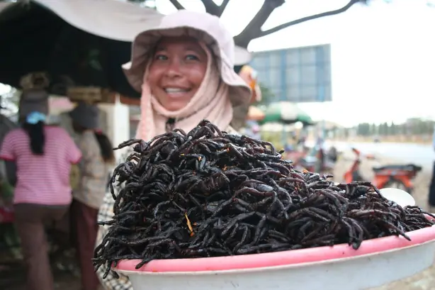 Foto von Kambodschanische Vogelspinne Skuon-Art – fertig angerichtet