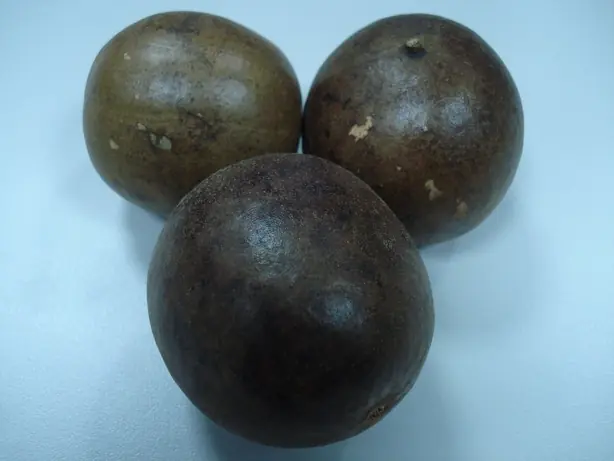 Foto von Chinesischer Luo Han Guo Tee – fertig angerichtet