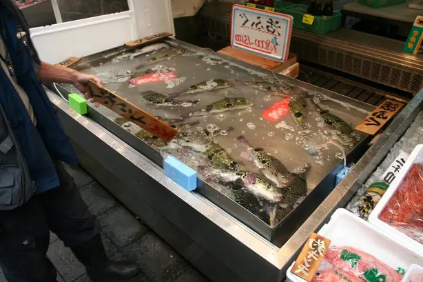 Cook Snap von kochcode-team