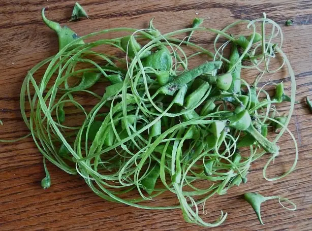 Foto von Rheinischer Schnippelbohneneintopf klassisch – fertig angerichtet