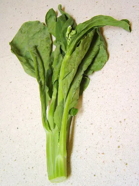 Cook Snap von kochcode-team