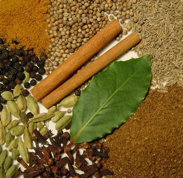 Foto von Indisches Garam Masala Klassisch – fertig angerichtet