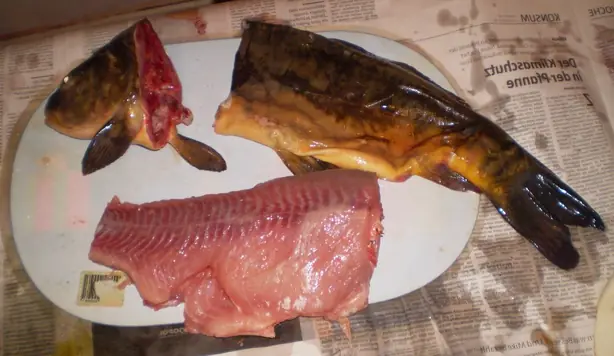 Cook Snap von kochcode-team