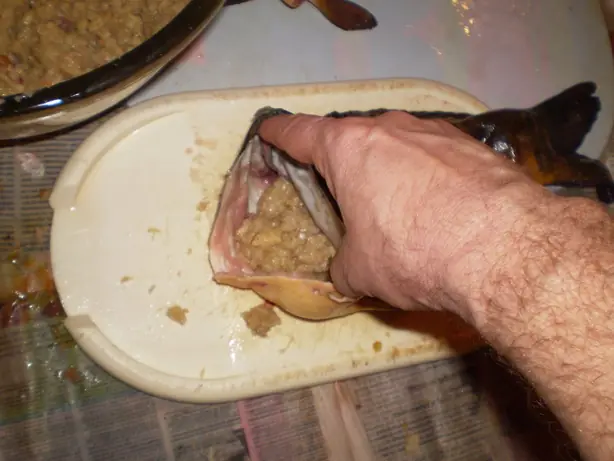 Cook Snap von kochcode-team