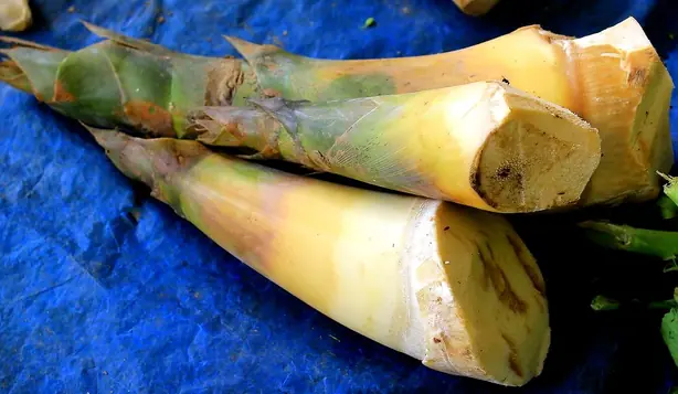 Cook Snap von kochcode-team