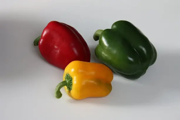 Cook Snap von kochcode-team