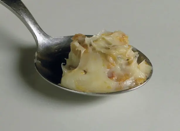 Cook Snap von kochcode-team