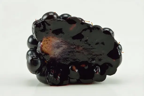 Foto von Schwarze Brombeeren mit Vanilleeis – fertig angerichtet