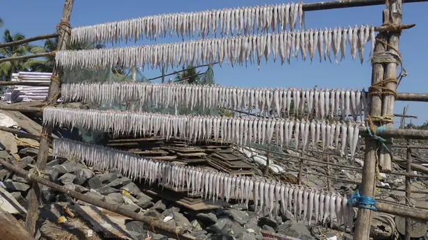 Cook Snap von kochcode-team