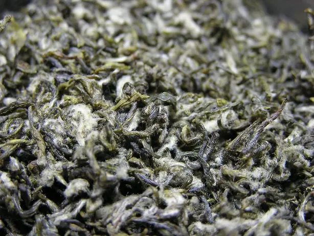 Foto von Chinesischer Bi Luo Chun Tee – fertig angerichtet