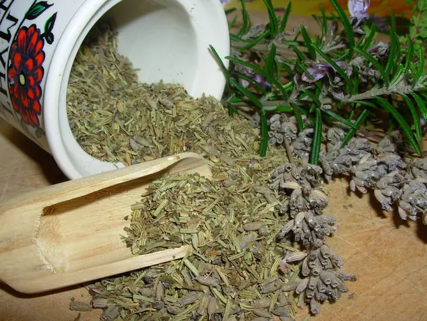 Cook Snap von kochcode-team