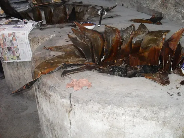 Cook Snap von kochcode-team