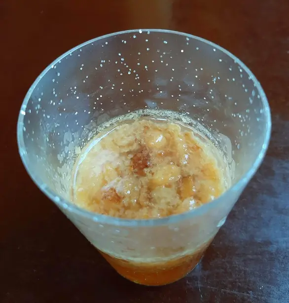 Foto von Slowakisches Hriatô Wintergetränk – fertig angerichtet