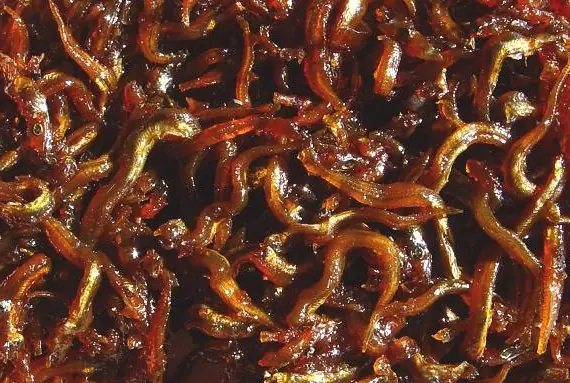 Foto von Japanische Sandaale Ikanago no Kugini – fertig angerichtet