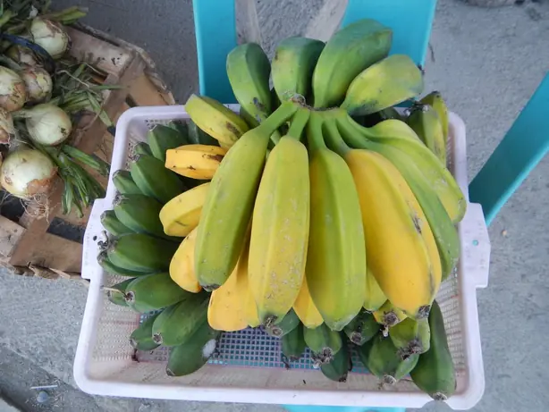 Cook Snap von kochcode-team