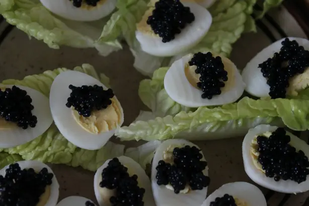 Cook Snap von kochcode-team