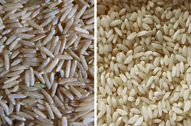 Cook Snap von kochcode-team