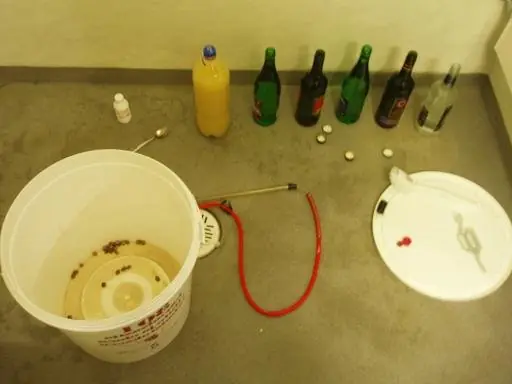 Foto von Finnischer Zuckerwein Kilju – fertig angerichtet