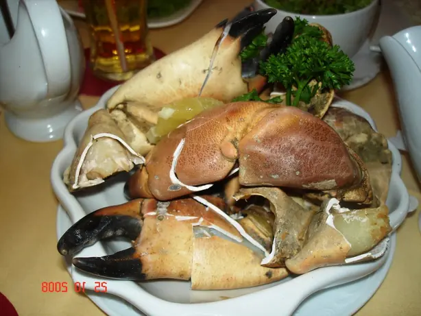 Cook Snap von kochcode-team