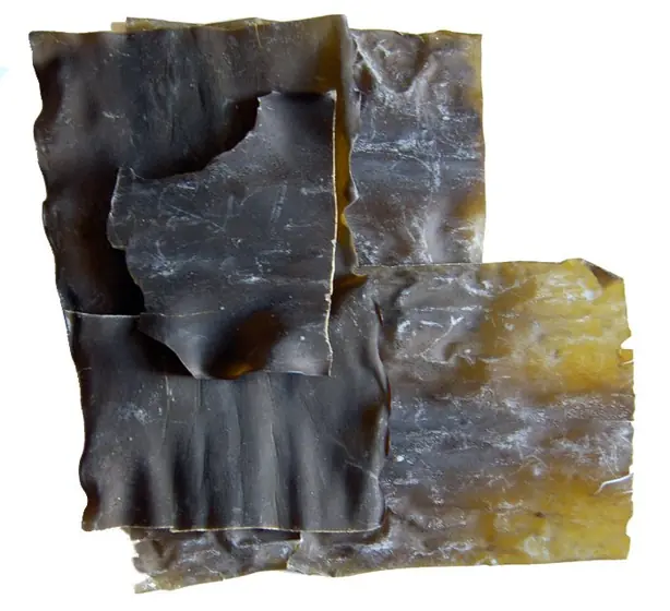 Cook Snap von kochcode-team