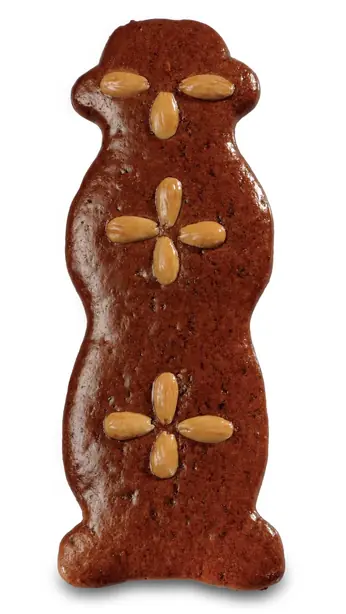 Cook Snap von kochcode-team