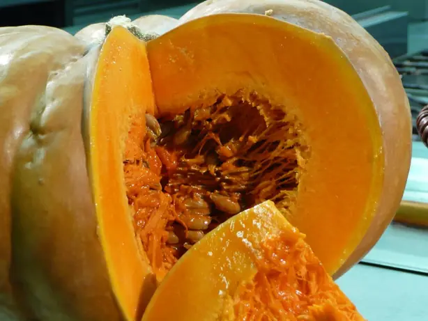 Cook Snap von kochcode-team