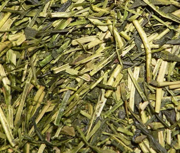 Foto von Japanischer Kukicha Stängeltee – fertig angerichtet