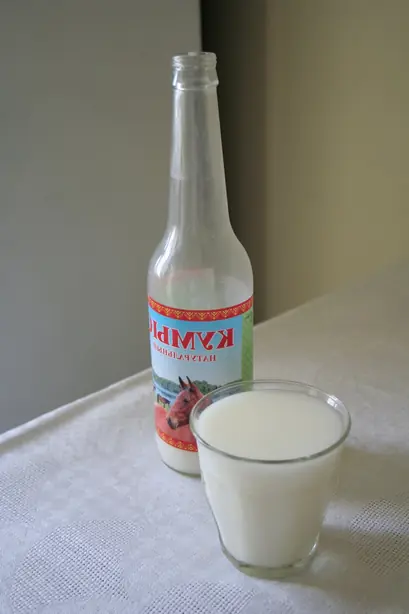 Kumys-bottle – Foto: A.Savin (CC BY-SA 3.0)