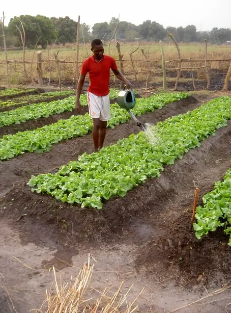 Cook Snap von kochcode-team