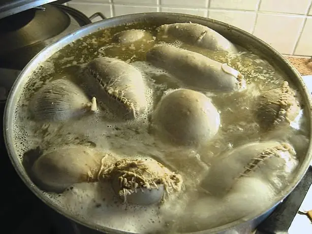 Cook Snap von kochcode-team