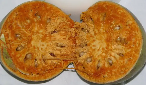 Cook Snap von kochcode-team