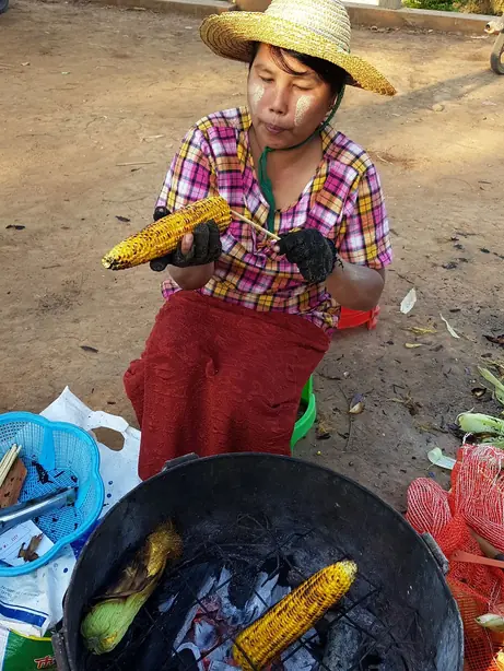 Cook Snap von kochcode-team