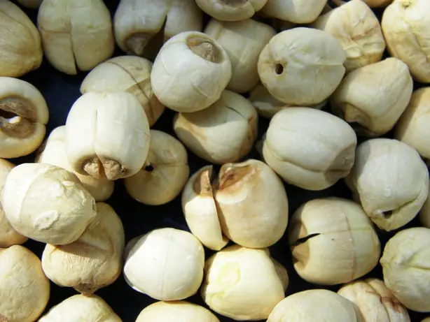 Foto von Chinesische Süße Lotossamen-Suppe – fertig angerichtet