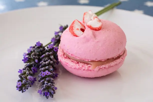 Foto von Französischer Diplomat Pudding klassisch – fertig angerichtet