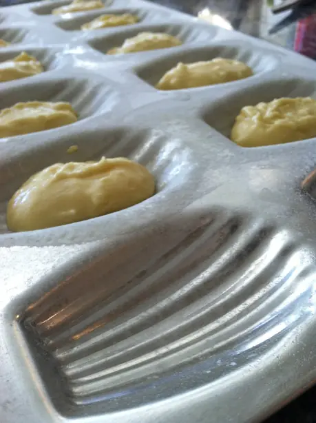 Foto von Klassische Madeleines – fertig angerichtet