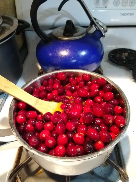 Making cranberry sauce - stovetop – Foto: Mary Mark Ockerbloom (CC BY-SA 4.0)