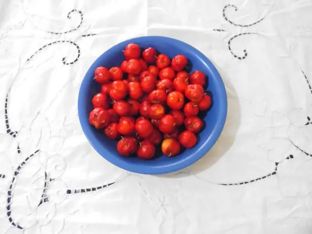 Foto von Acerola-Gelee aus der Karibik – fertig angerichtet