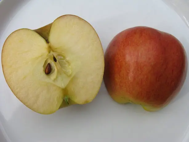 Foto von Kanadischer Creston Apfel-Pie – fertig angerichtet