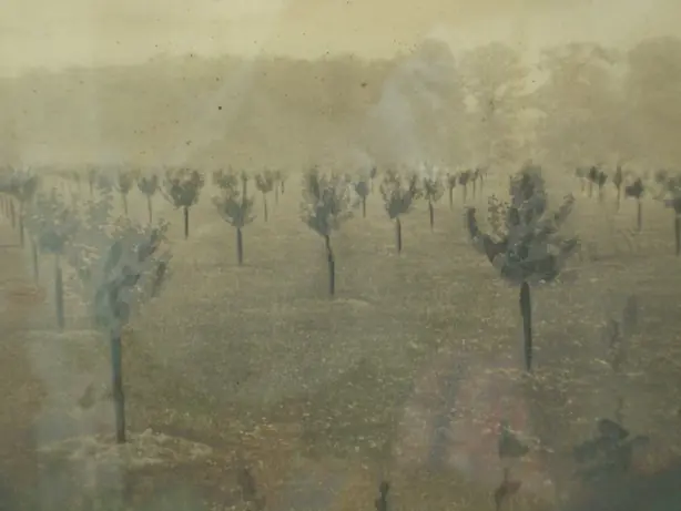 Cook Snap von kochcode-team