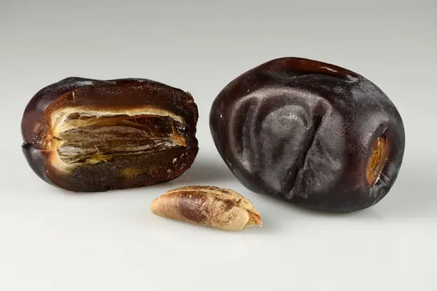 Foto von Spanische Datteln im Speckmantel – fertig angerichtet