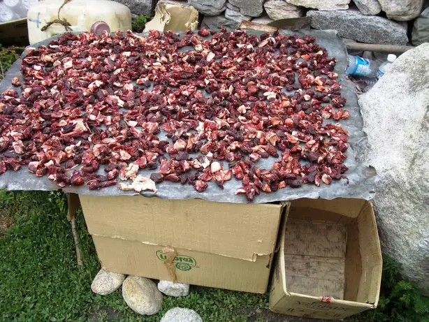 Foto von Hausgemachtes Beef Jerky klassisch – fertig angerichtet