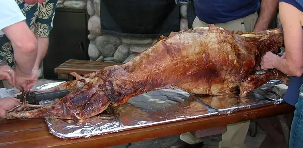 Cook Snap von kochcode-team