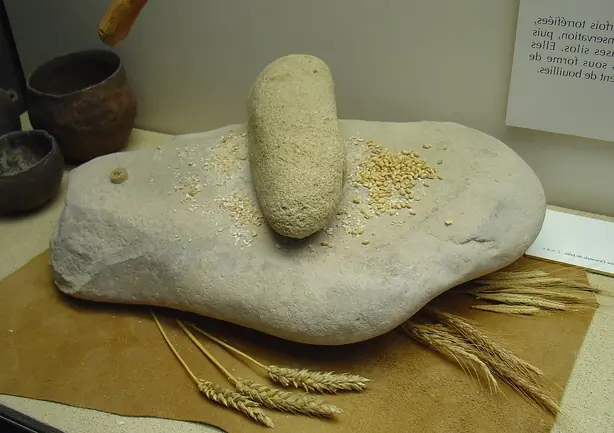 Meule et broyeur - Orgnac – Foto: Yelkrokoyade (CC BY-SA 3.0)