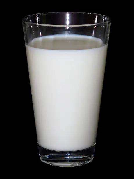 Cook Snap von kochcode-team