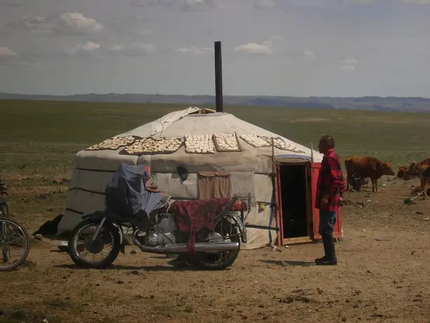 Cook Snap von kochcode-team