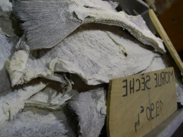 Cook Snap von kochcode-team