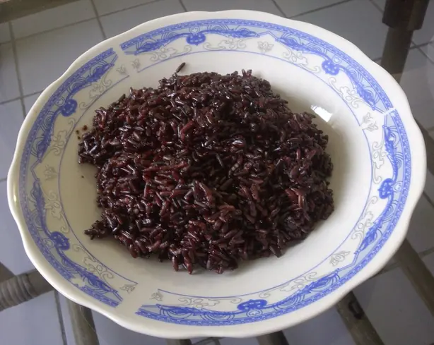 Cook Snap von kochcode-team