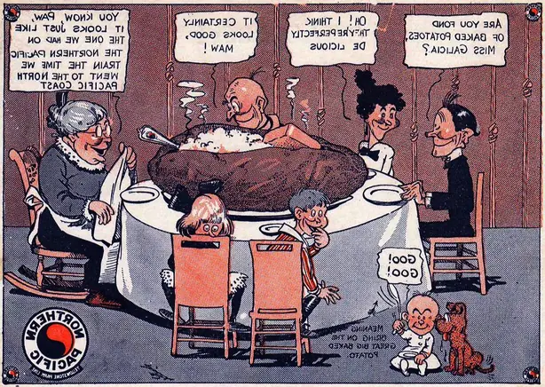 Cook Snap von kochcode-team