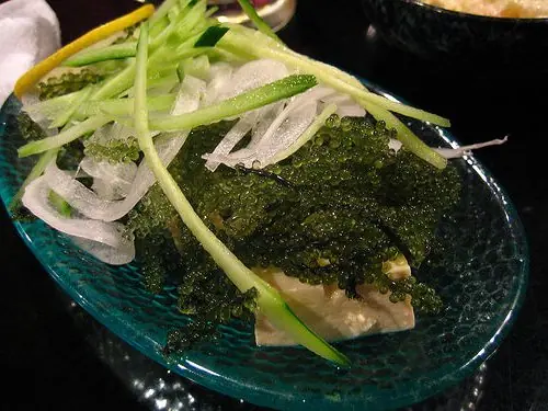 Cook Snap von kochcode-team