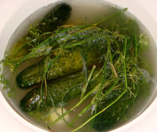 Cook Snap von kochcode-team